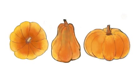 The image shows three pumpkins of different shapes and sizes, painted in a watercolor style. Pumpkin set watercolor. Big set of pumpkins for Halloween and Thanksgiving day