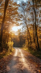 Sunlit Path Through Autumn Forest
