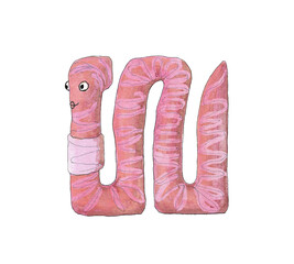 Little adorable earthworm as an illustration for children and adults on a transparent background
