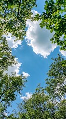 Fototapeta premium Looking up at the blue sky through a canopy of green trees