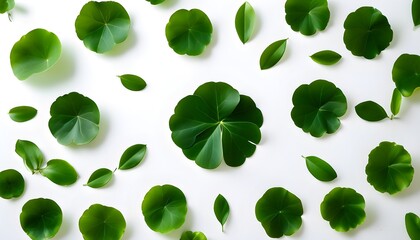 Symmetrical Design of Green Leaves on White Background