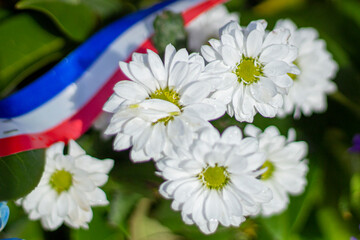 fleur de france