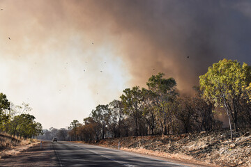 Bush fire on the road trip