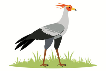 Detailed vector artwork of a Secretary Bird walking through the grasslands of the savanna. Ideal for wildlife designs, educational content, and African-themed nature projects.