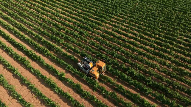 GRAPE HARVESTER, ORBIT AROUND IT FROM BOTTOM UP WHILE HARVESTING