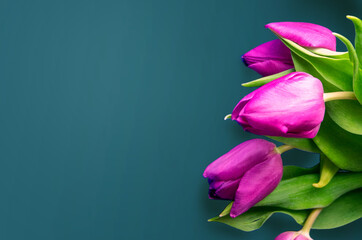 Fototapeta premium Tongue fresh tulips usually considered as innocence flowers and are an extremely pleasant surprise when we give them just without a chance. On wooden background. Tulips on old boards, spring concept. 