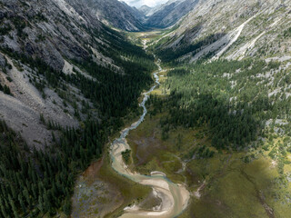 Aerial view of beautiful high altitude forest canyon and snow capped mountain landscape