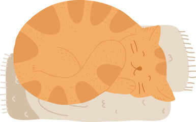 Handdrawn Sleeping Cat On Blanket