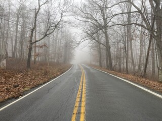 Fototapeta premium road in the fog