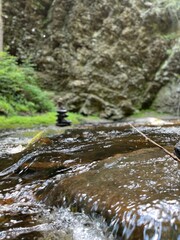 stream in the forest