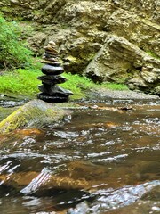 stream in the forest