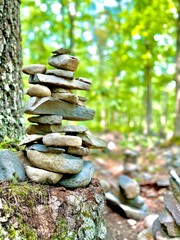 stones in the forest 
