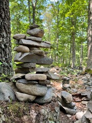 rocks in the forest