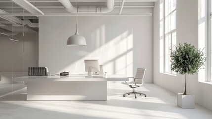 Modern office interior with white desk, chair, and a plant in a white pot.