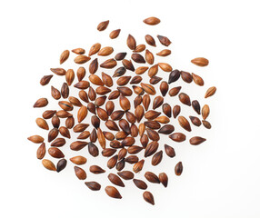 　麦茶　白バック