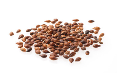 Naklejka premium 麦茶 白バック