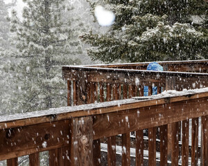 Snow falling at Lake Tahoe, Nevada