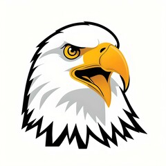 Fototapeta premium american bald eagle