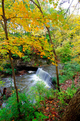 Fototapeta premium Indian Run Falls Park in Autumn, Dublin, Ohio