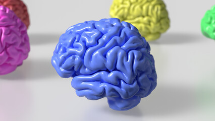 The Multi color Brain on white Background  3d rendering.