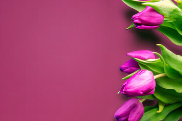 Fototapeta premium Tongue fresh tulips usually considered as innocence flowers and are an extremely pleasant surprise when we give them just without a chance. On wooden background. Tulips on old boards, spring concept. 
