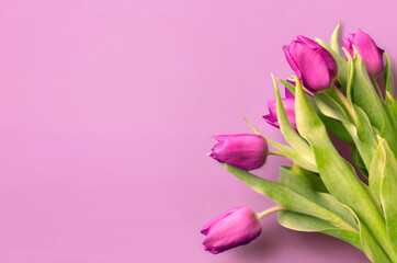 Tongue fresh tulips usually considered as innocence flowers and are an extremely pleasant surprise...