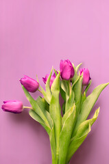 Tongue fresh tulips usually considered as innocence flowers and are an extremely pleasant surprise when we give them just without a chance. On wooden background. Tulips on old boards, spring concept. 