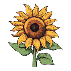 Design element, vector icon, yellow sunflower flower on white backdrop.  Ukrainian yellow flower.
