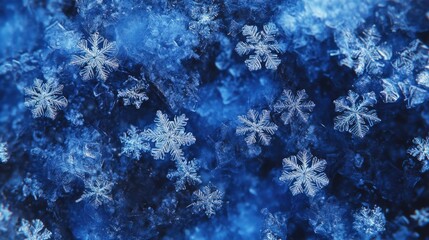 Stunning abstract close-up of snowflakes against a deep blue background, showcasing intricate patterns and textures in winter beauty.