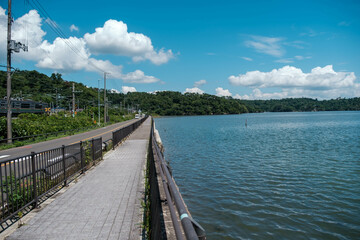 Fototapeta premium 海