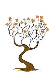 autumn tree png