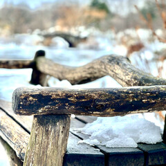 bench in the forest