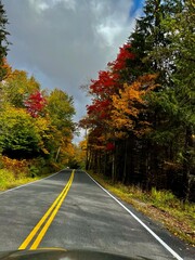 road in autumn