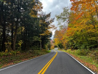 road in autumn