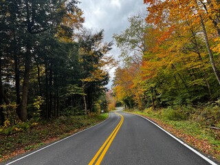 road in autumn
