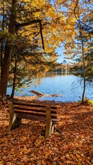 bench in autumn park