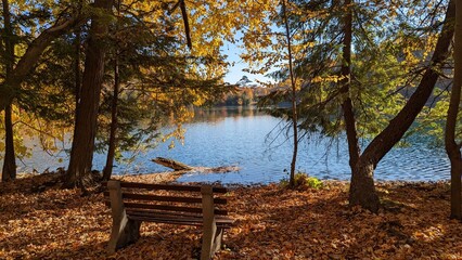 bench in the park