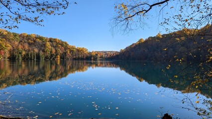 autumn trees reflected in water