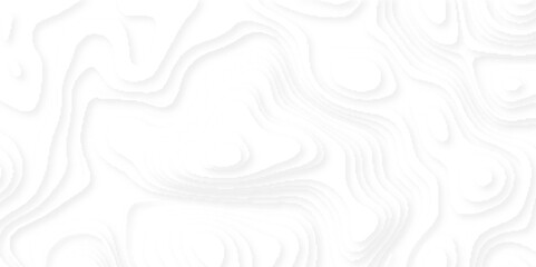 Topographic canyon geometric map relief texture with curved layers and shadow. Abstract wavy line 3d paper cut white background.