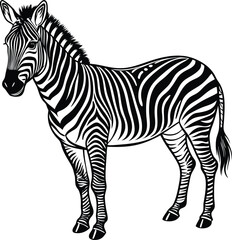 Zebra silhouette vector illustration