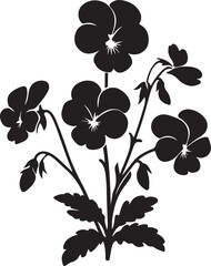 Diascia flower silhouette vector illustration