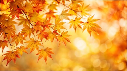 Fototapeta premium Vibrant autumn leaves on a maple tree, showcasing rich colors against a serene fall background.
