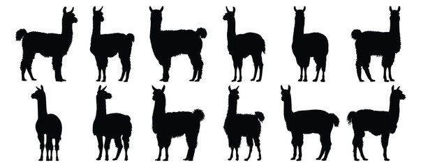 Llama silhouettes set, animal pack of vector silhouette design, isolated background