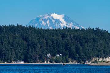 Towering view of snow-capped mount rainier above a pine forest and the puget sound