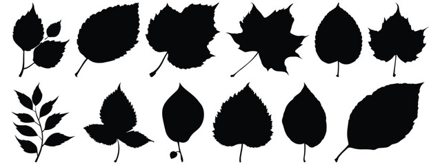 Leaf silhouette set vector design big pack of foliage illustration and icon