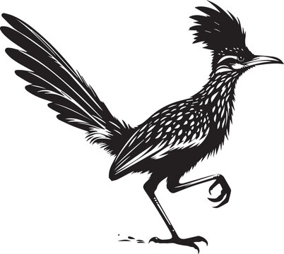 recommend clip art: black roadrunner silhouette vector simple black and white