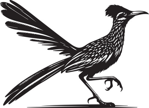 recommend clip art: black roadrunner silhouette vector simple black and white