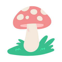 Mushroom illustration