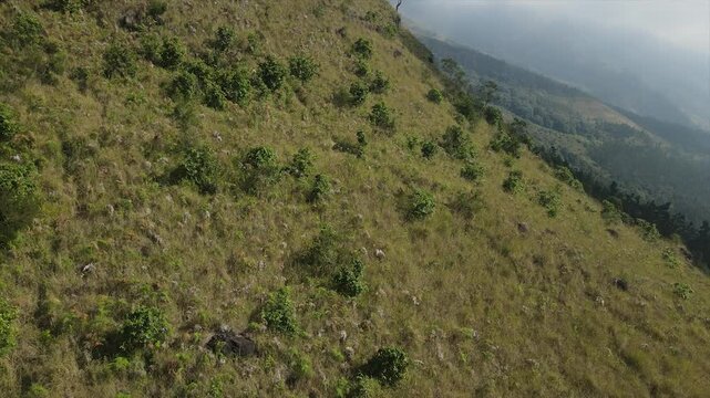 aerial view of Mount Arjuno