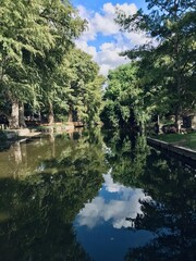 Fototapeta premium River in the city park